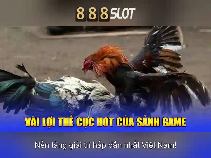 Công nghệ tỷ lệ cược động thể thao AI thời gian thực